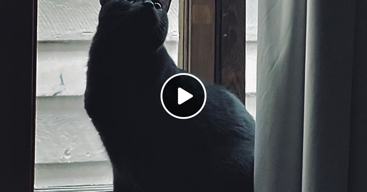 Notes of interest 10 dec 2023 8 10pme wrsu fm 88 7 rutgers radio