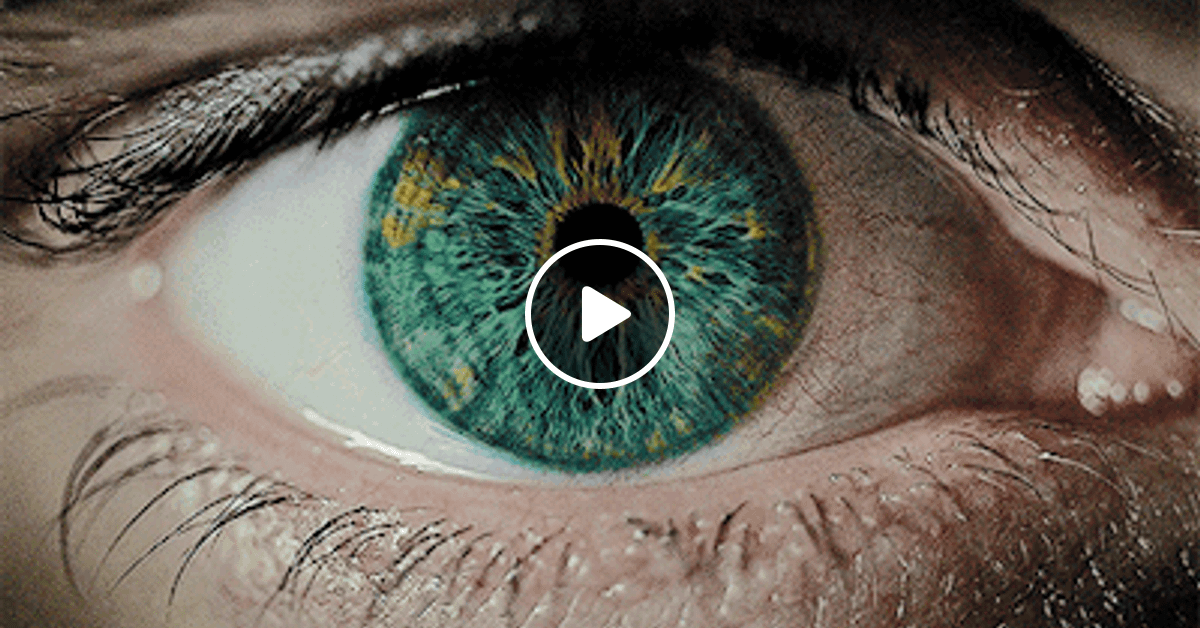 �������� ����, ����� ���� �������� ��������