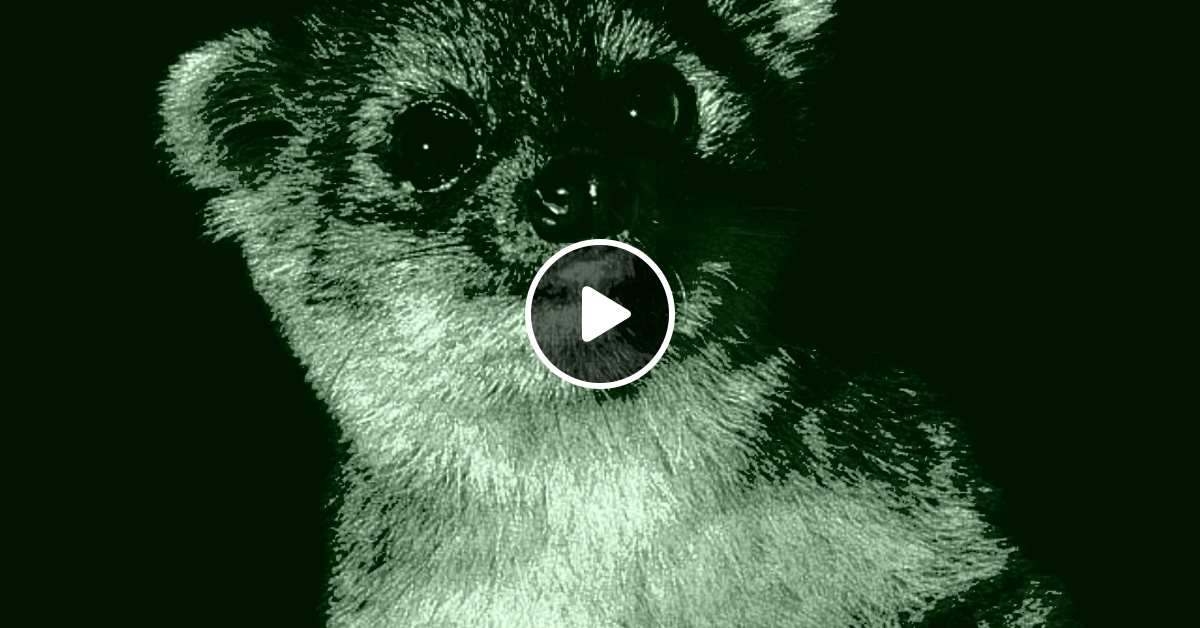 Schwah Durrell's Vontsira Mix by Schwah Mixcloud
