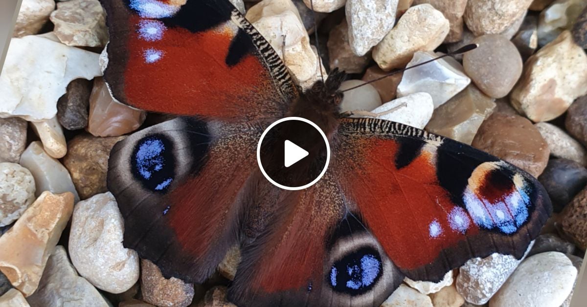 Drum & Bass Mix. Vol 1 by CDF listeners Mixcloud