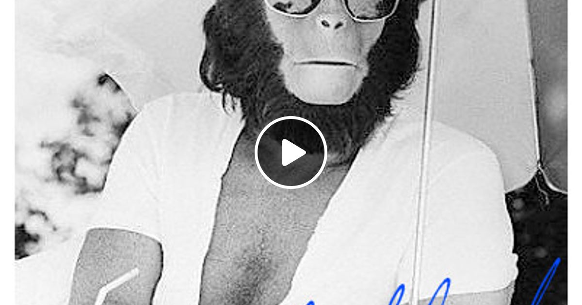 Monkey Safari Jack Mambo Mix By Jackmode Mixcloud monkey safari jack mambo mix by