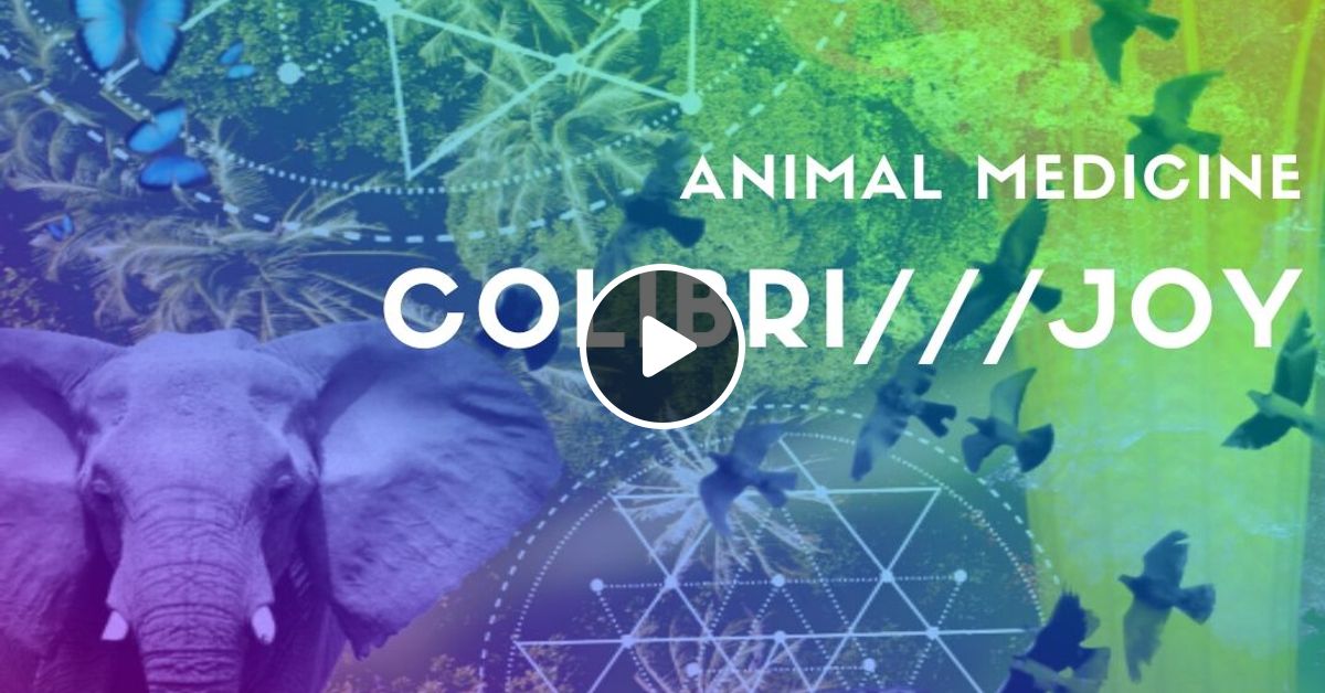 200426***Danses Cantiques54***Animal Medicine Hummingbird Joy***NTSC 41 by ***Brunehilde