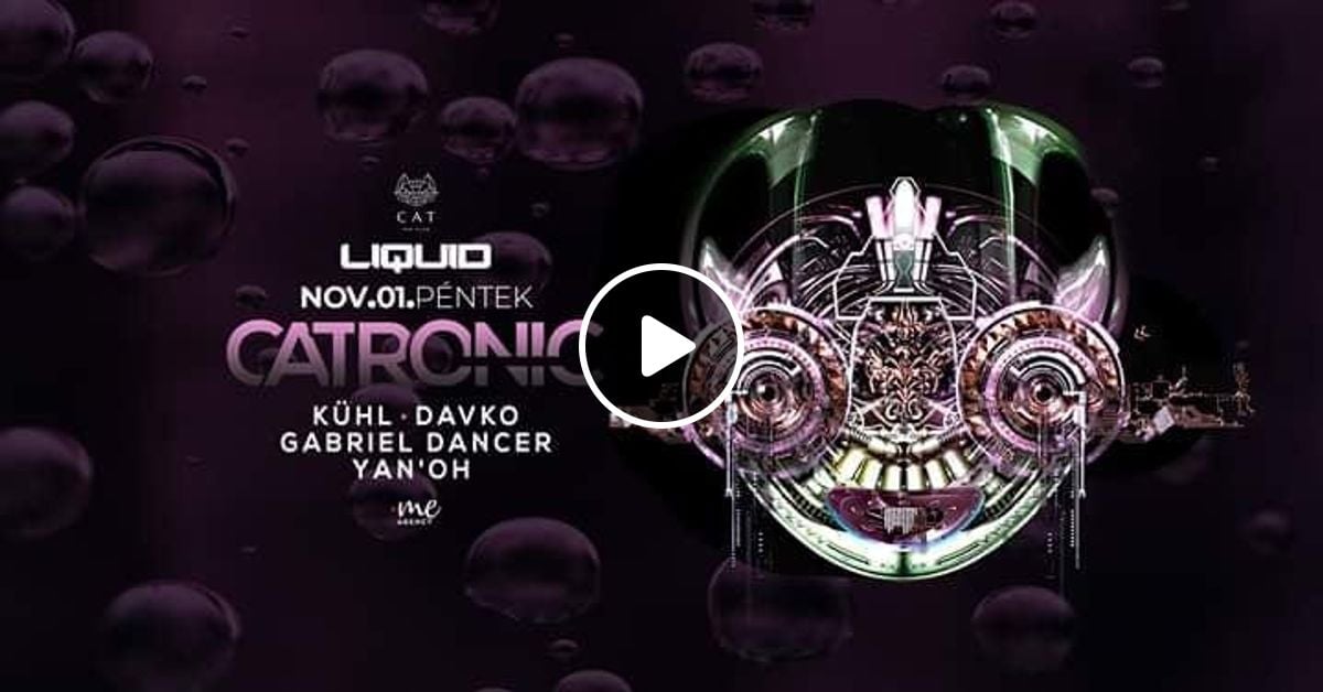 Yan Oh Catronic Live Cat Club Budapest 2019 11 01 By Yan Oh