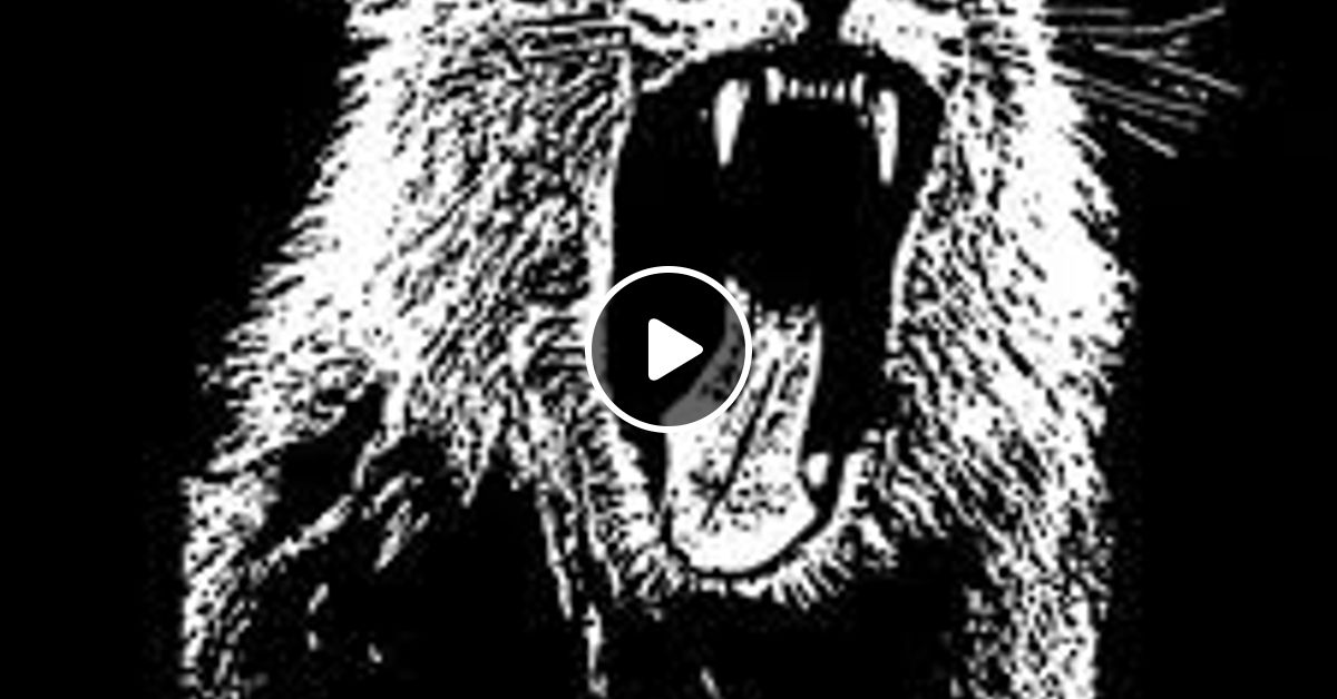 Hardwell & W&W vs Martin Garrix - Jumper/Animals (Mashup) by Settix |  Mixcloud