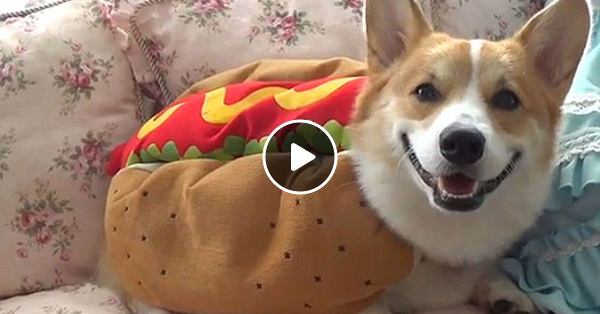 Don T Let It Go To Your Head By Biophysicalresonance Mixcloud So what if i came clean and told you all you mean to me so what if i meant every word i said baby don't let it go to your head so what if i write your name cause you're always on my brain in my heart, i paint it crimson red baby i think the color of her skin goes well with the green in the background. mixcloud