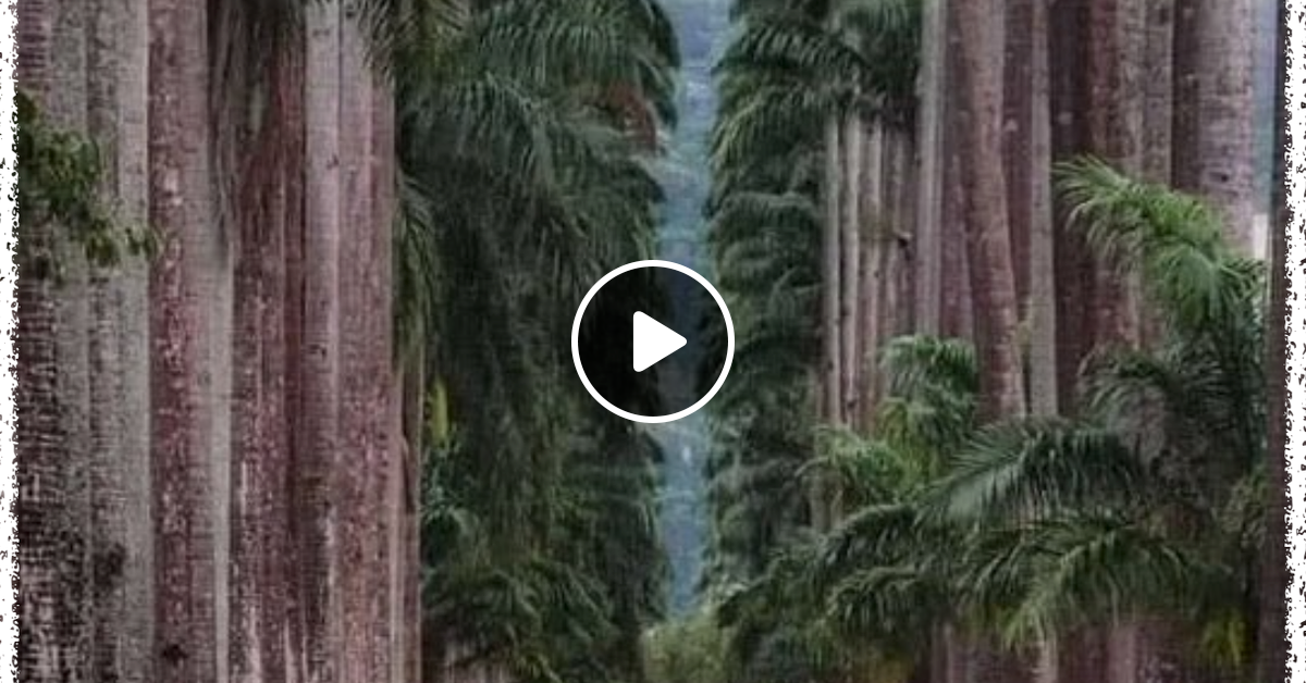 MHMS339 DJ Orlando JourneyDeepStyles by Meia Hora Mix Show (MHMS