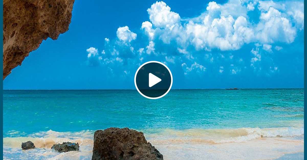 moombahton & reggaeton dj riel
