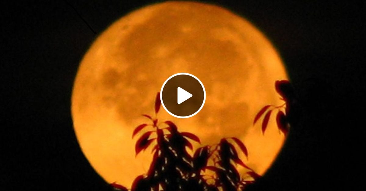 TANGERINE MOON by Ferruccio Belmonte Mixcloud
