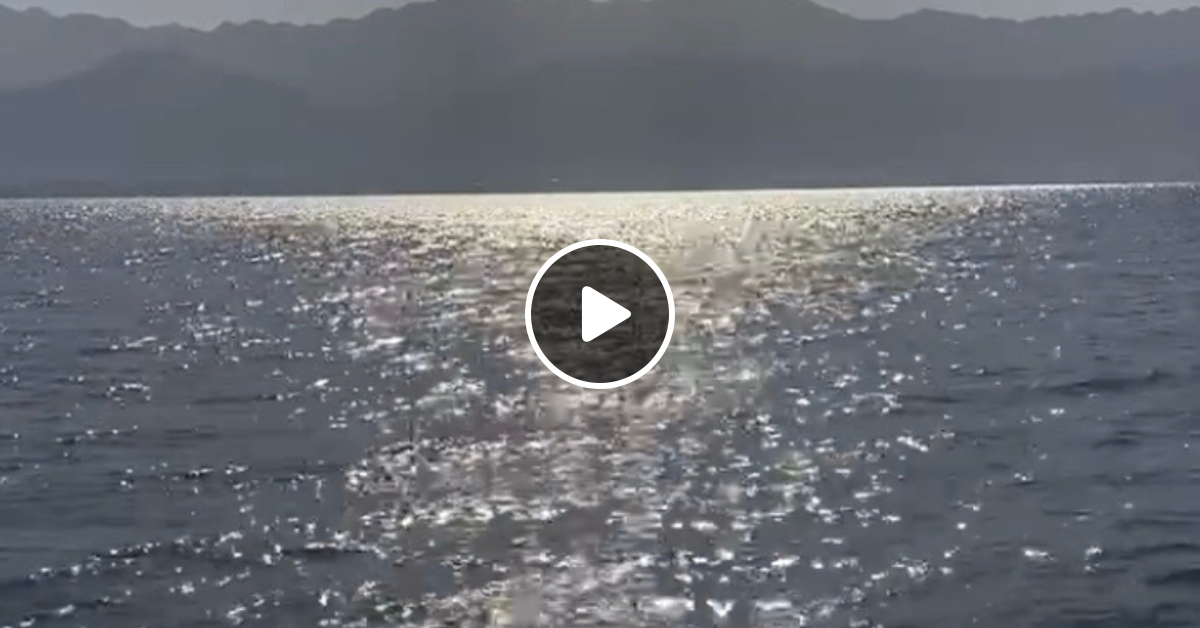 Hearing The Messages Of The Waters Of The Earth By Naomi Katz