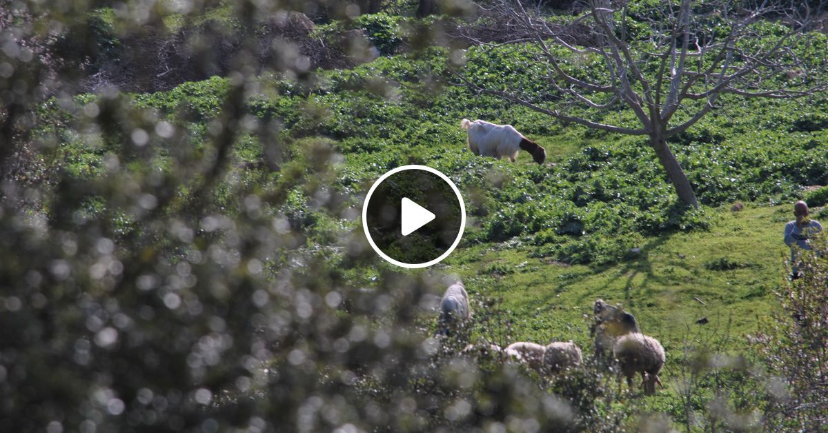 Sabah el kheir by Pomegranates et Burdaqan | Mixcloud