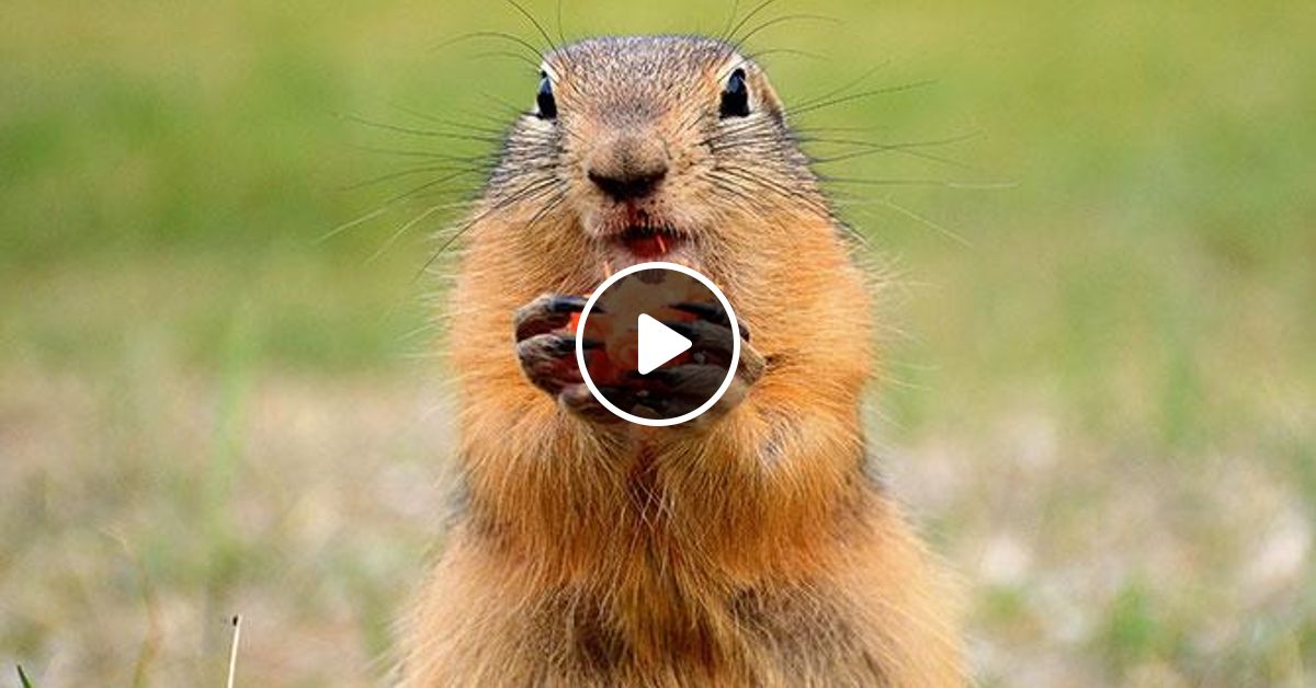 Mixcloud
