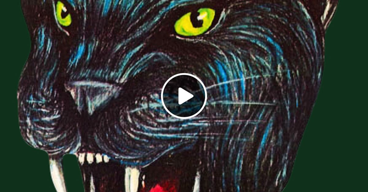 洋楽 KENNIE RANDAL Kenny Ken & Randall - Jungle Fever - The Wild Cats Back