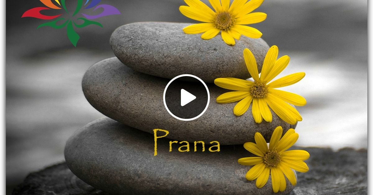 Guido S Lounge Cafe Broadcast 0306 Prana 20180112 By Guido S Lounge Cafe Mixcloud Merge of equals my everything. mixcloud