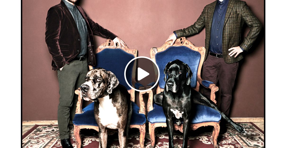 Get Physical Radio #344 (Guestmix by Animal Trainer).