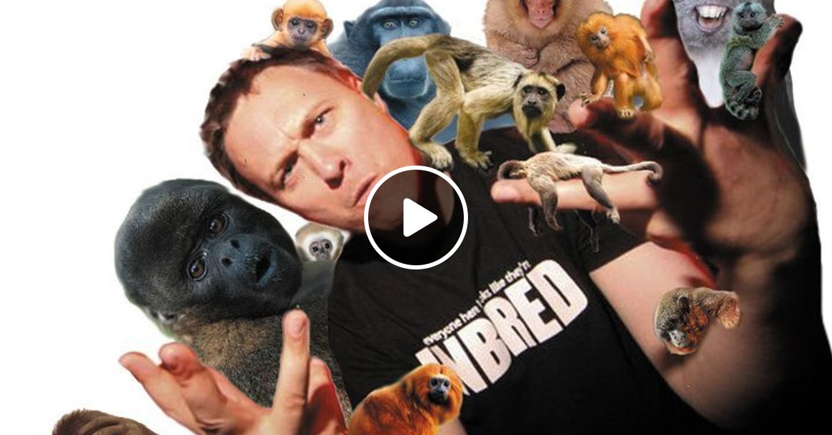 Glade Homegrown Competition by SiZE Mixcloud