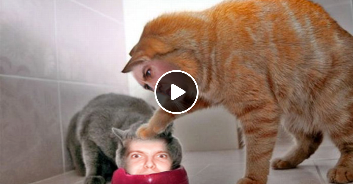 Diplo Friends On Bbc Radio 1 Ft Dillon Francis 6 24 12 By Diplo And