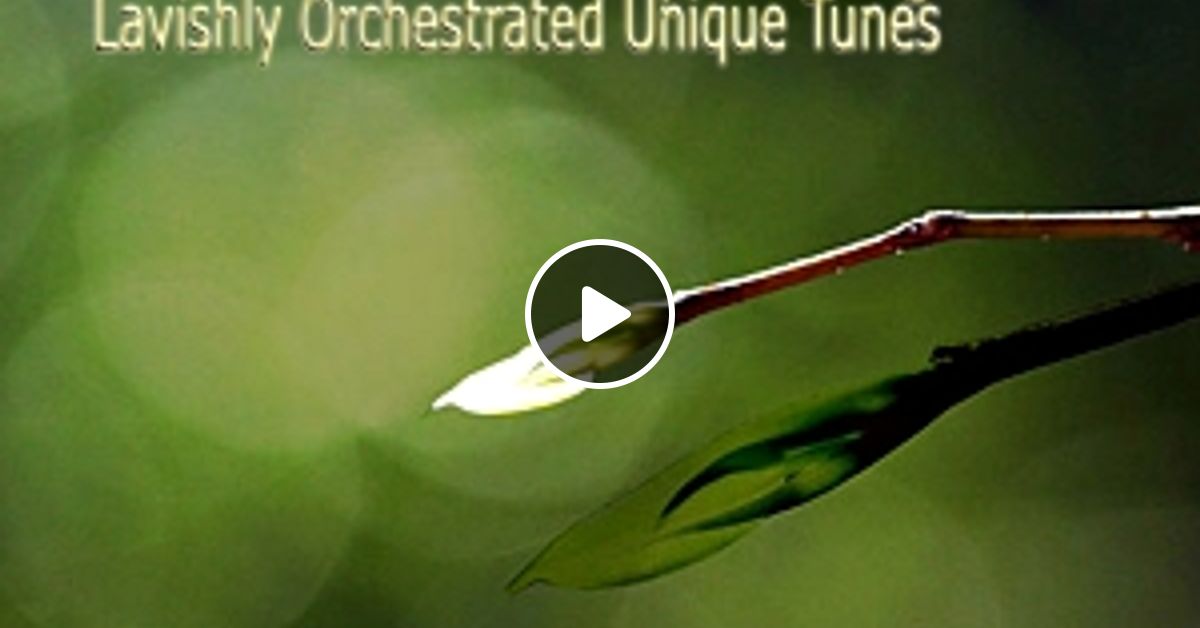 Ambient Nights - Continuous Harmonically Intriguing Laidback Lavishly ...
