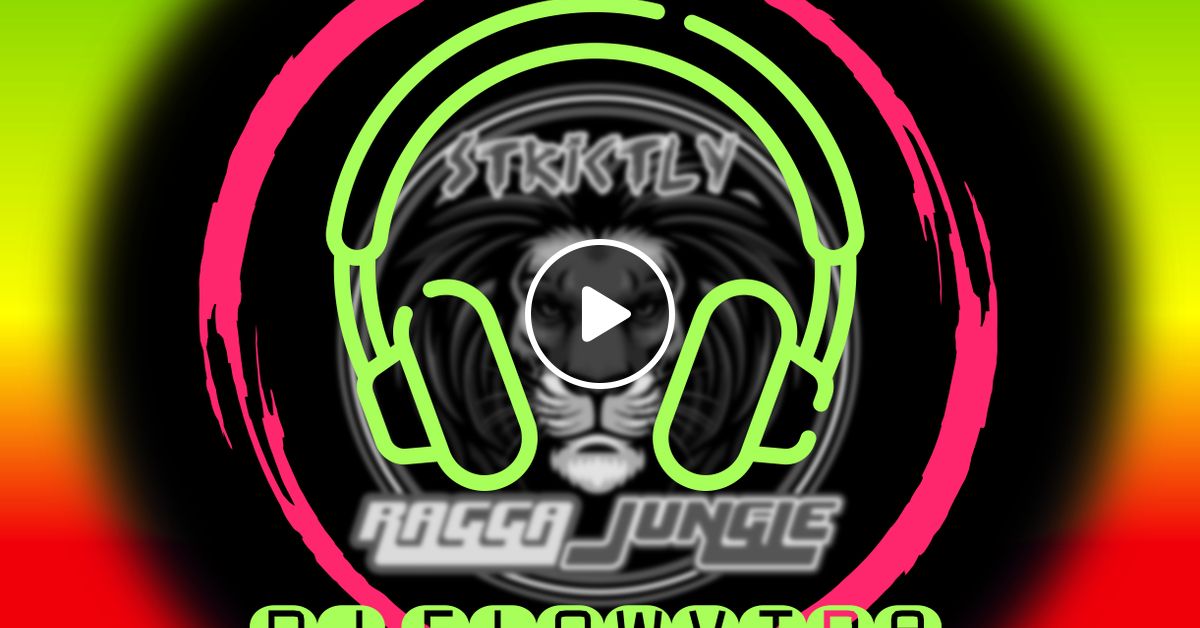 Srj Live 2023 11 11 Dj Flowvibe By Dj Flowvibe Mixcloud