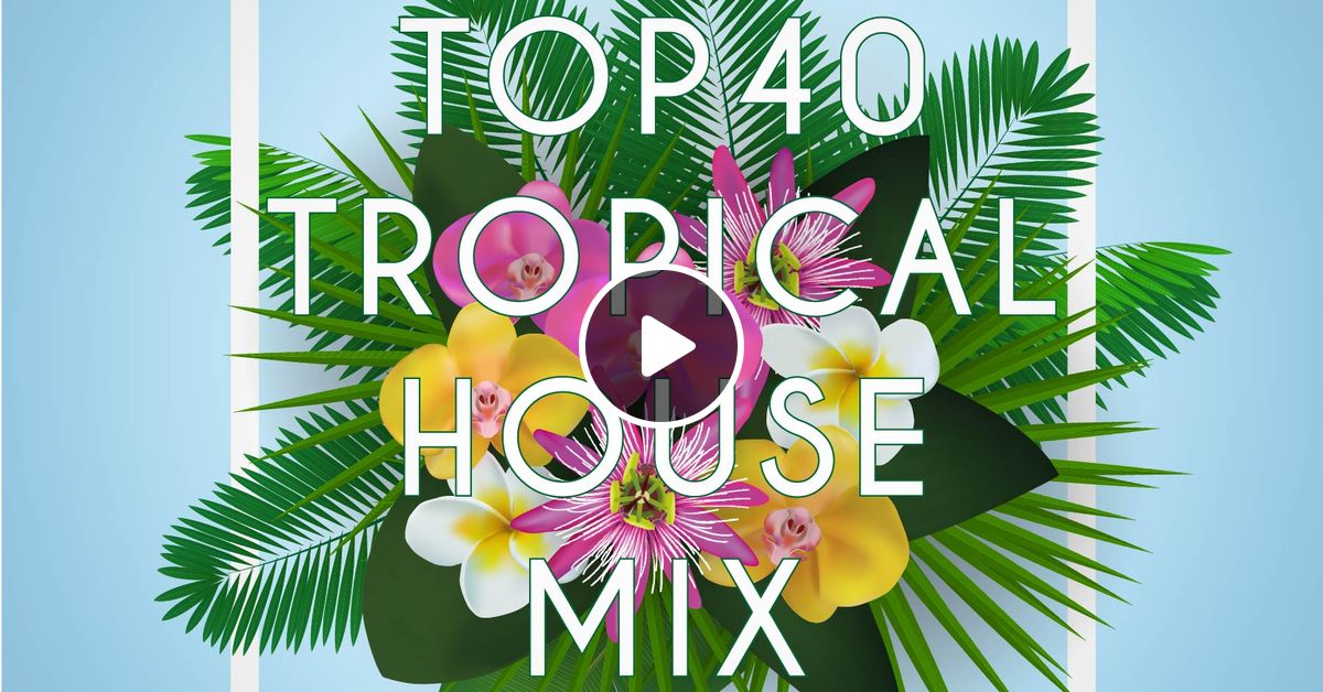 tropical house dj pool