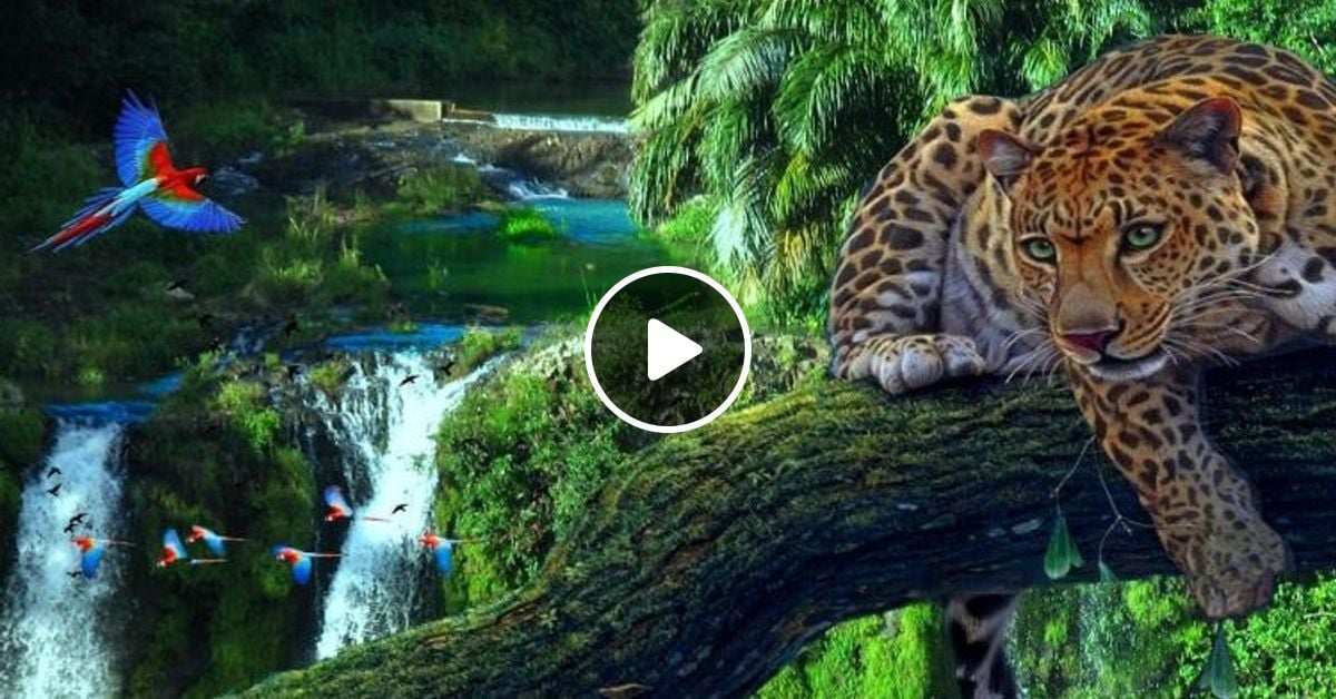 Drum Bass Soul 96 Jungle Special By Radius Mixcloud