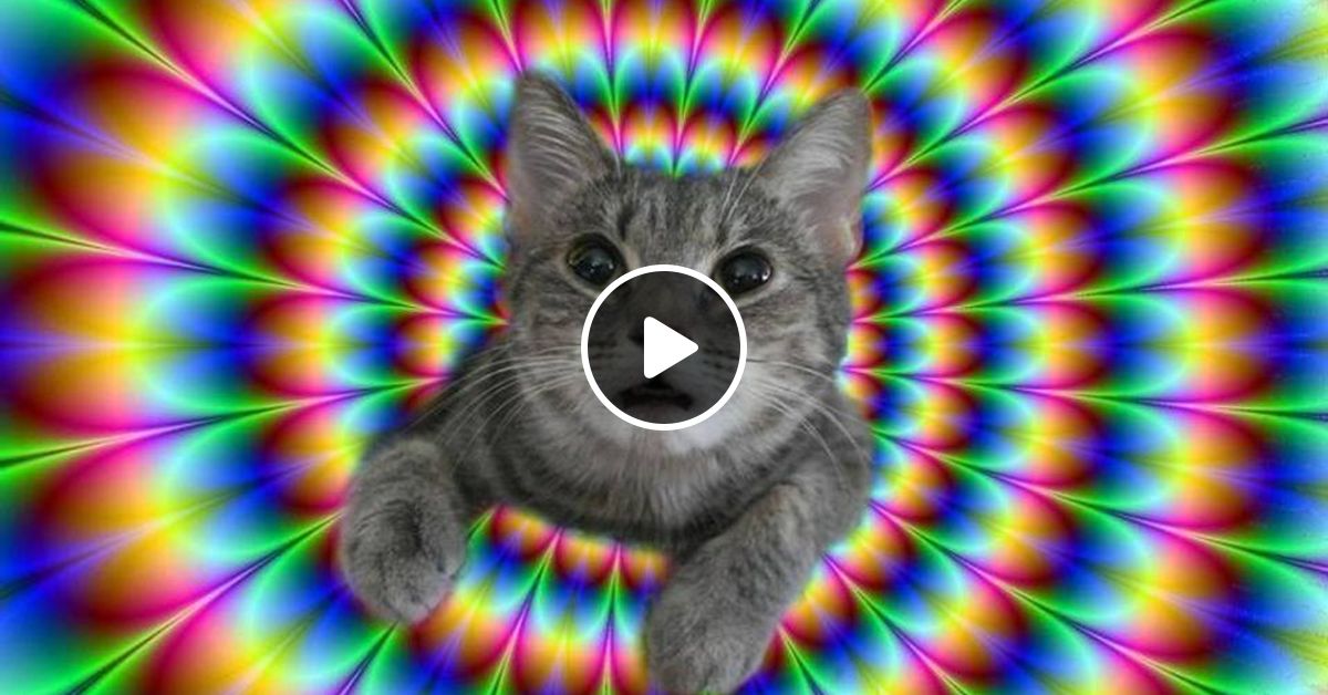 Mixeesession 152 Intersys Soniq Vision Perplex Recharge Your Toys In A Perfect Rave By Reugenio Mixcloud mixcloud