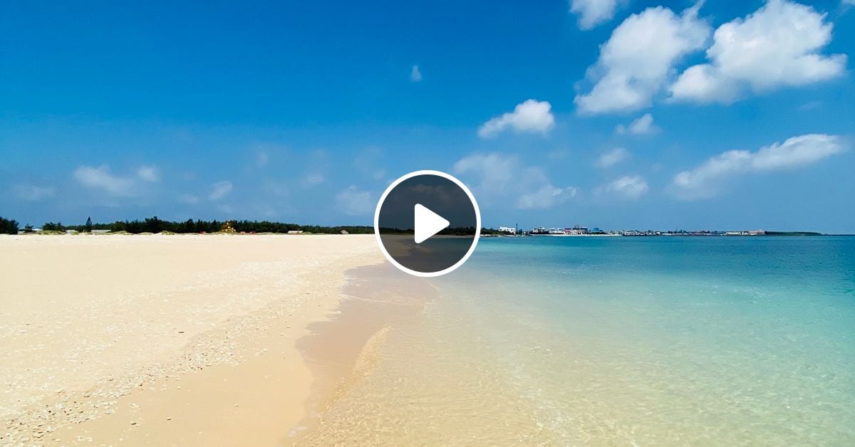 [閒聊] 適合跑步聽的輕電音12.0