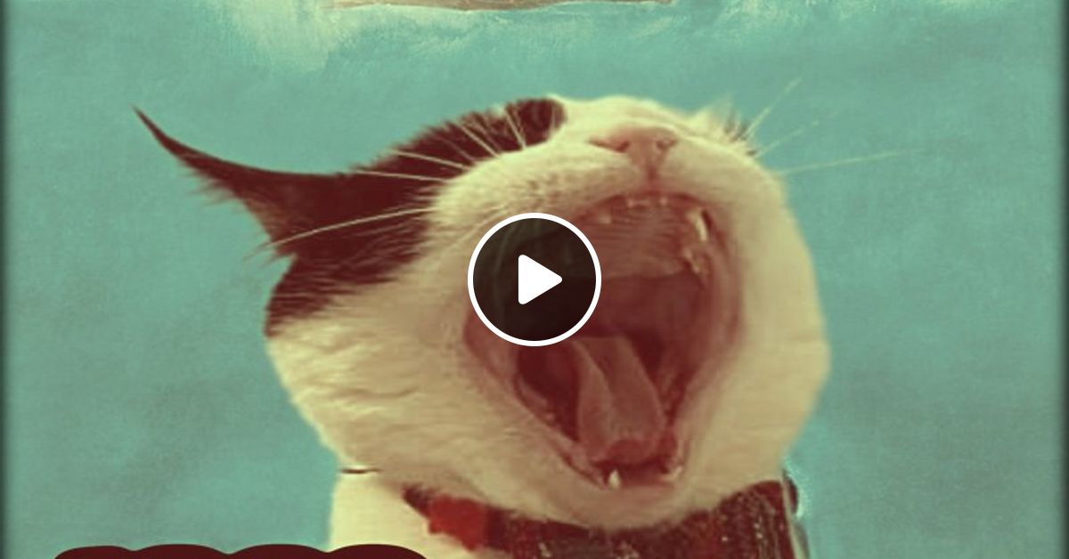 Dinoclaw Hardcore Jungle Techno 92 Mix Part 3 Recorded Oct 2023 By