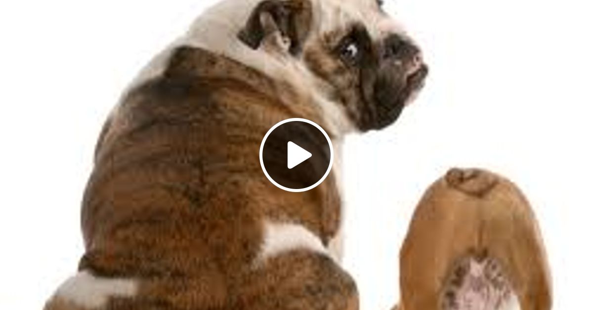 mixcloud