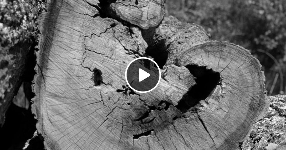 Sokra's Zaagshow 14022024 op Orinoco Radio by DJ_Sokra Mixcloud