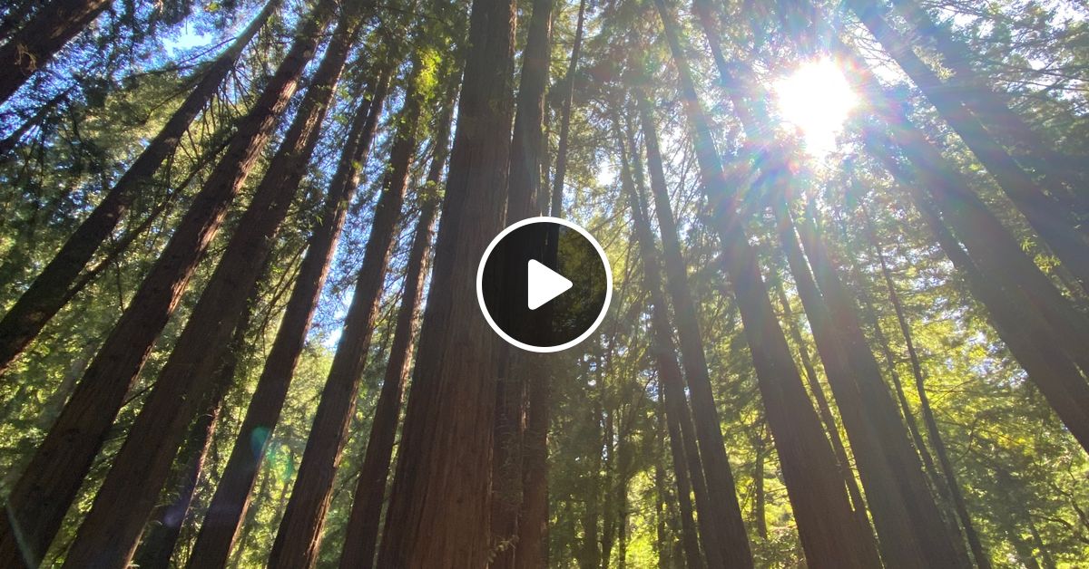 where can i get breakfast near me