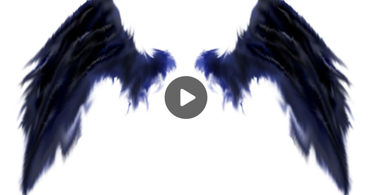 Фэнтези монстры характеристики. Белые крылья на черном фоне. Черные крылья. Крылья для фотошопа без фона. Черные крылья.