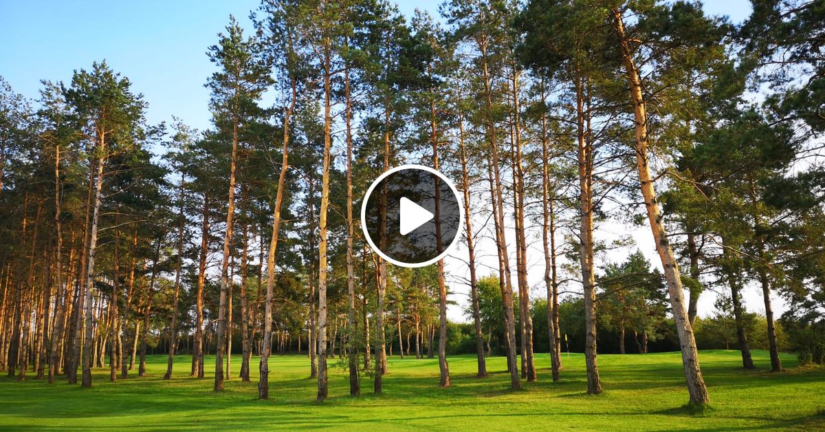 Jaro In Da Mix 19 19 House By Jaro Mixcloud