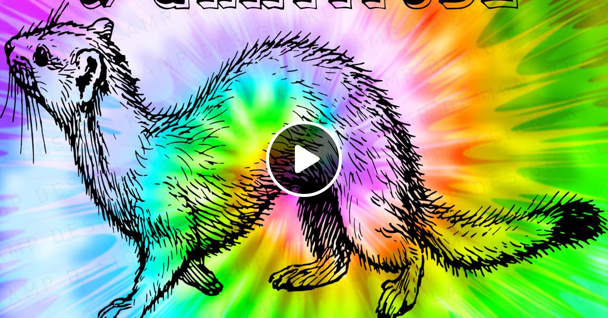 Jacky Treehorn W Dj Gratitude Live The Porthole 2023 09 23 By