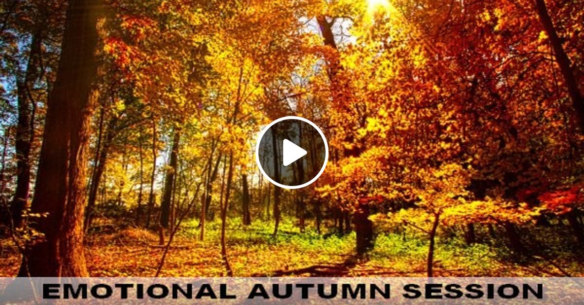 Wallpaper Emotional Autumn Session Vol 3 Endless Equinox By Mohamed For iPhone Free
