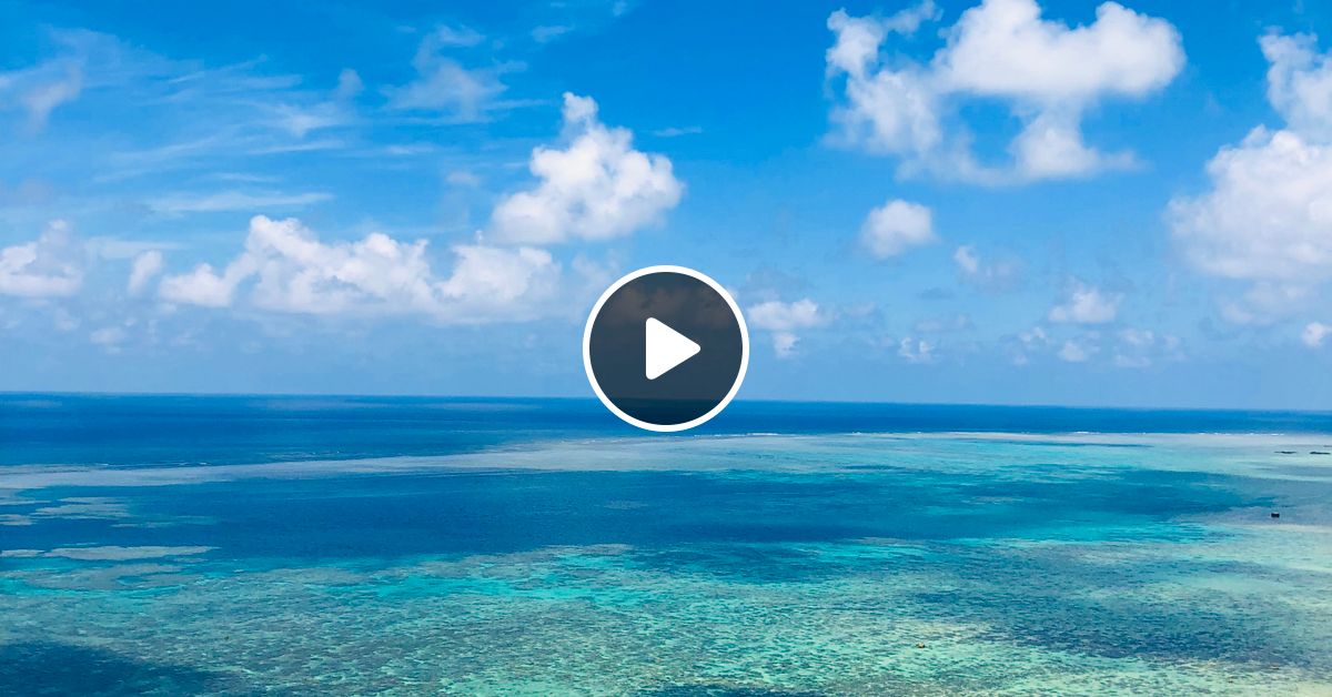 [閒聊] 適合跑步聽的輕電音 10.1