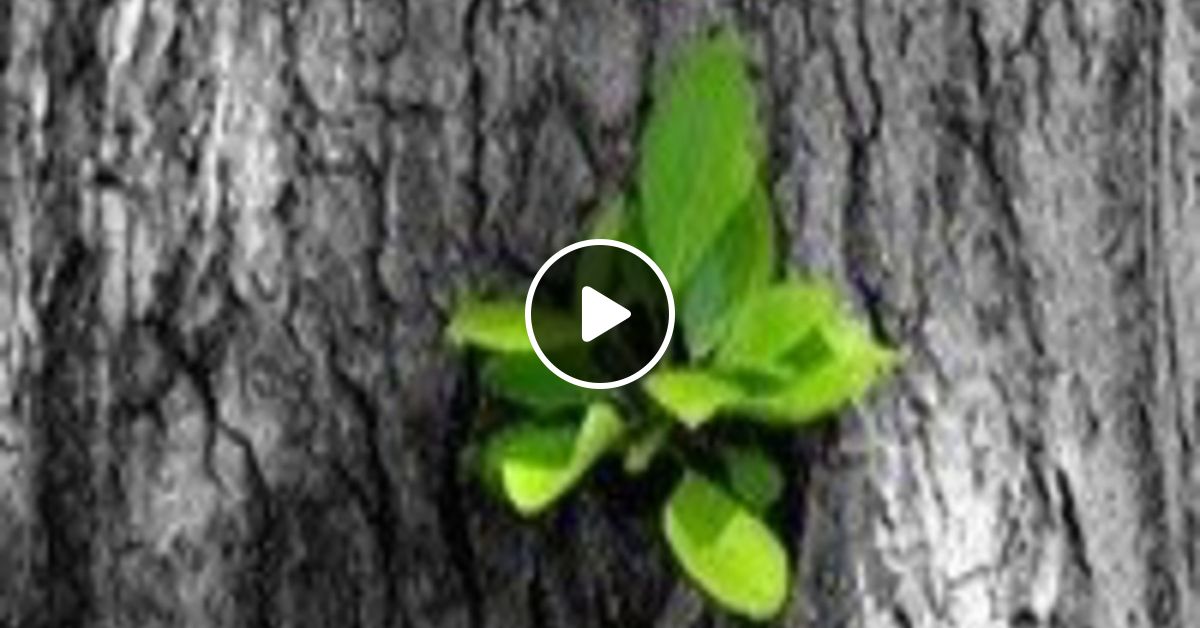 Canalización Del Salto Cuántio Por Adamus Saint Germain By Inteligencia