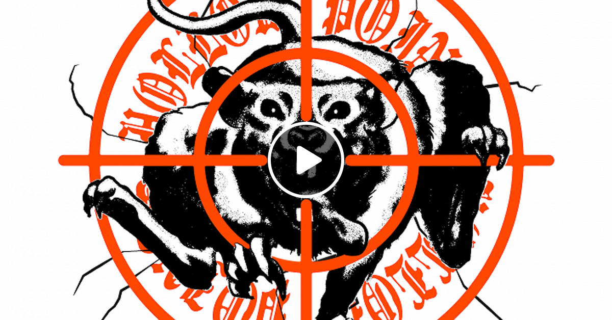 Hollow Points Radio 11th March 2025 By Mixcloud Nts Radio Mixcloud