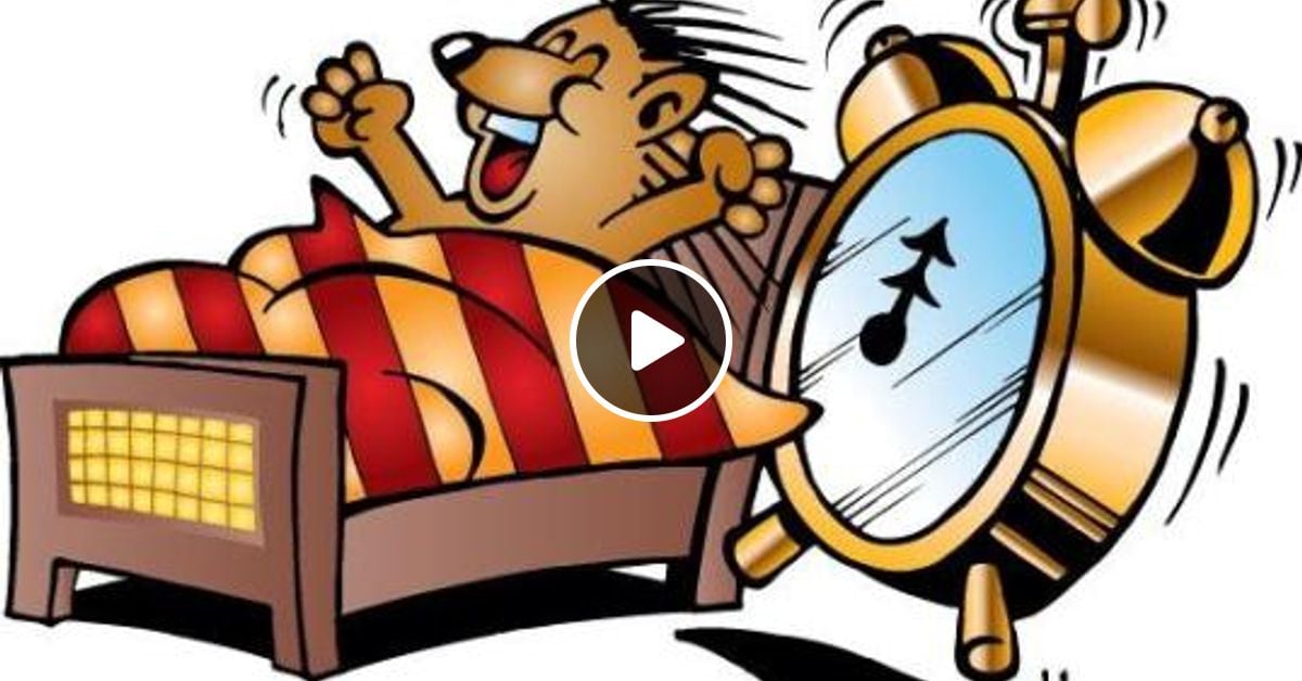 Картинки Подъем Утром Смешные