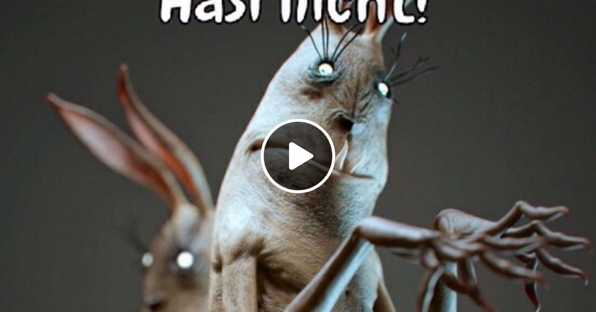 Irgendwas Stimmt Mit Hasi Nicht Auto
