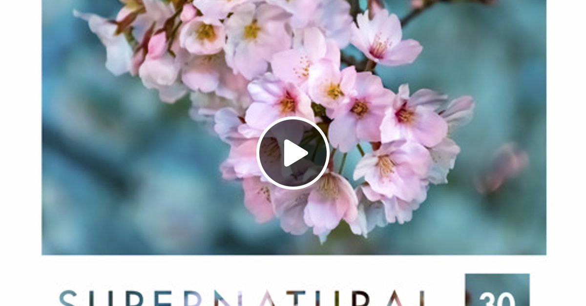 Fdvm Supernatural 30 By Fgr Mixcloud Check out mozambo on beatport. fdvm supernatural 30 by fgr mixcloud