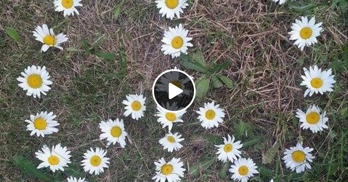 103 MIXTAPE "Peace and Loveism" Early 90s UK Hardcore Session by