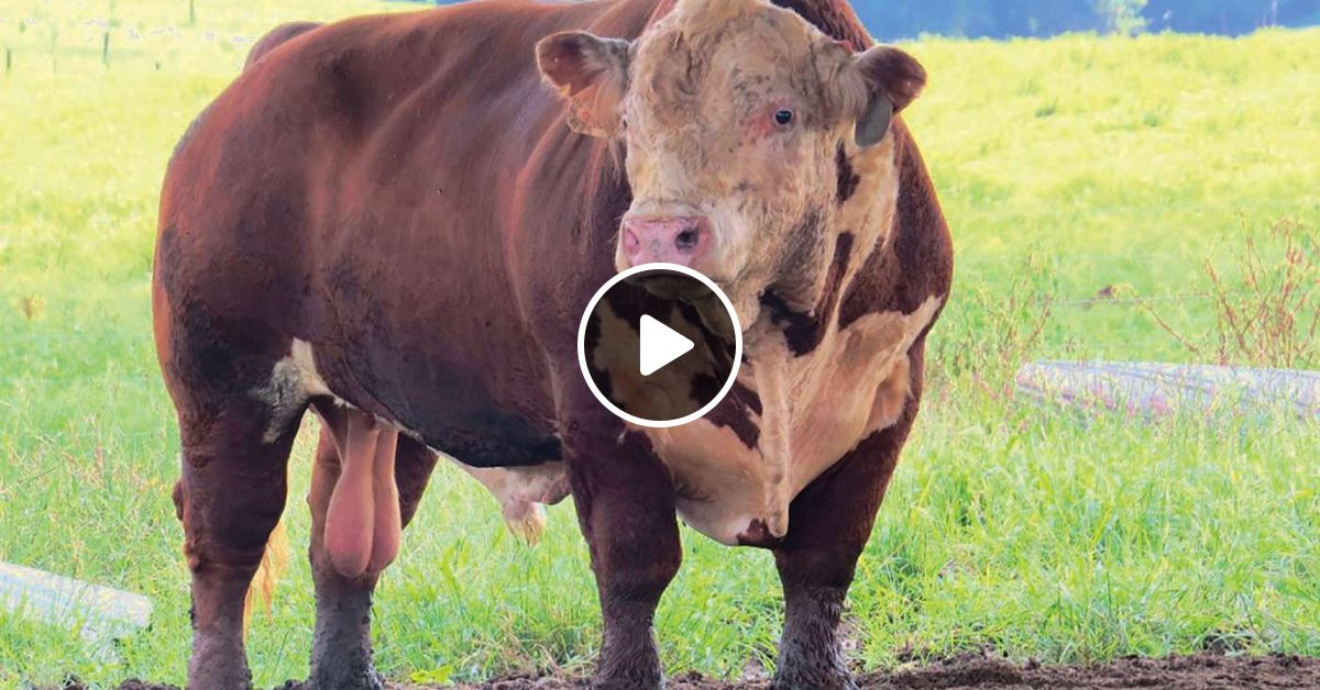 What By Tim Clark Mixcloud