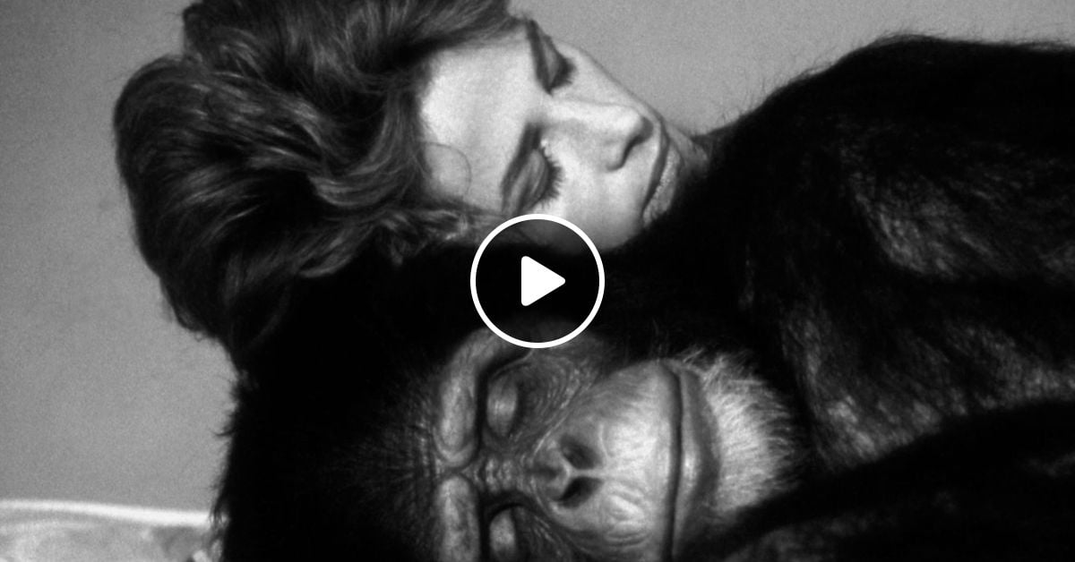 Dj Bloody Lekker Red Light Radio 09 04 2018 By Red Light Radio Mixcloud Check out antoine leonpaul on beatport. dj bloody lekker red light radio 09