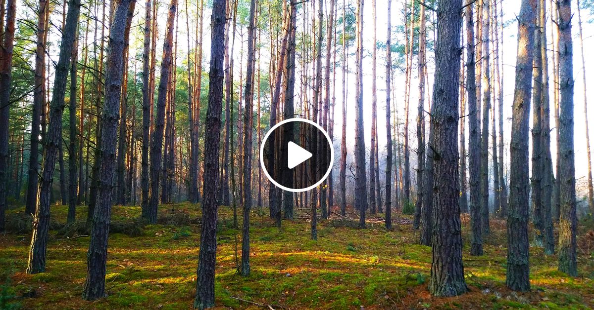 Jaro In Da Mix 18 34 Deep House By Jaro Mixcloud