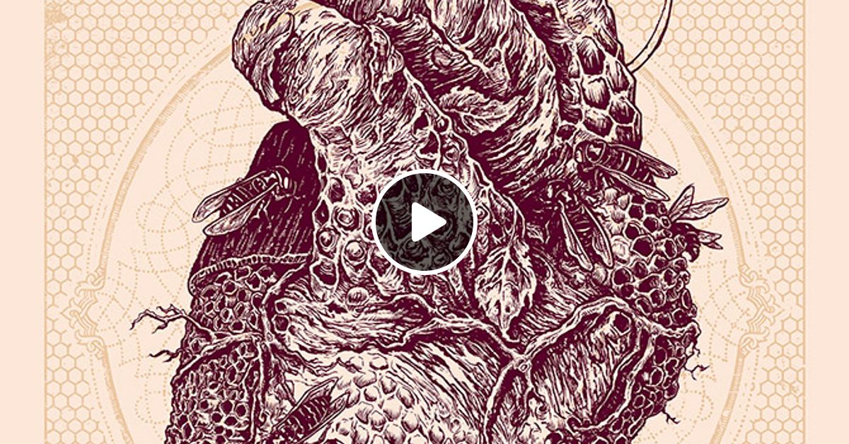 Bone Flesh Blood Skin By Chaos Rhythm Mixcloud