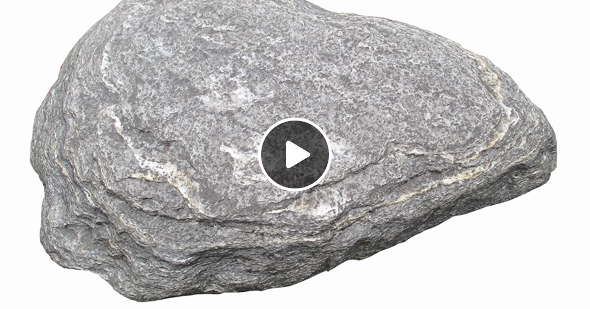 Kamen Za Kupus Je Fundamentalna Stvar Radio Gerijatrija 16 10