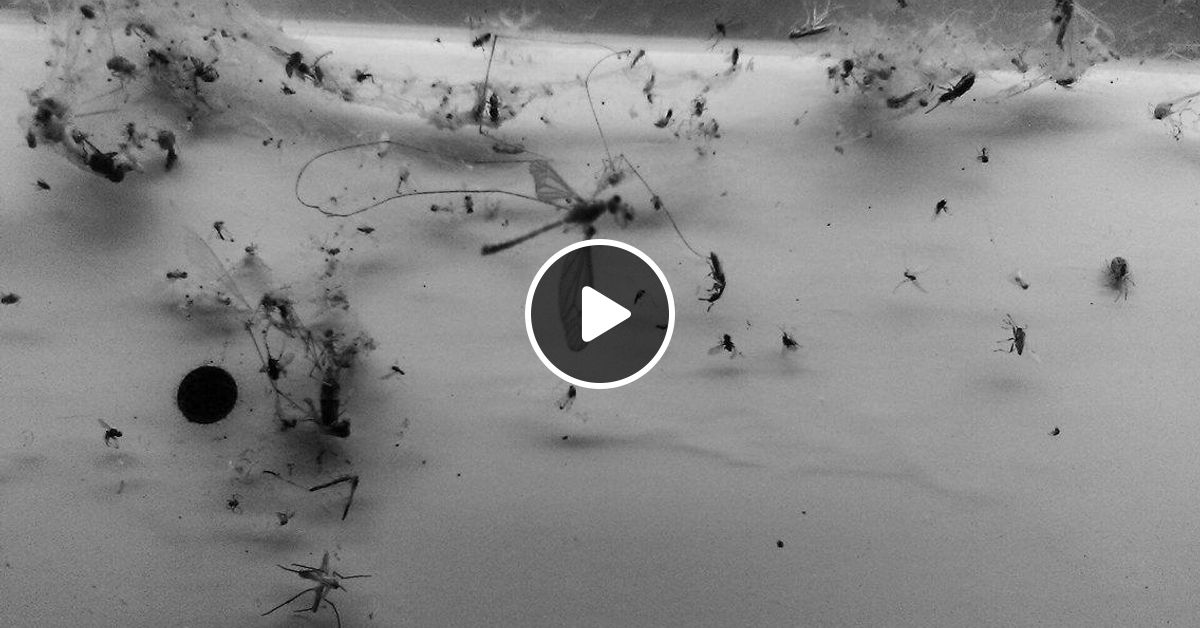 Textbeak Cxb7 Radio 320 Ovtro By Textbeak S Cxb7 Radio Mixcloud