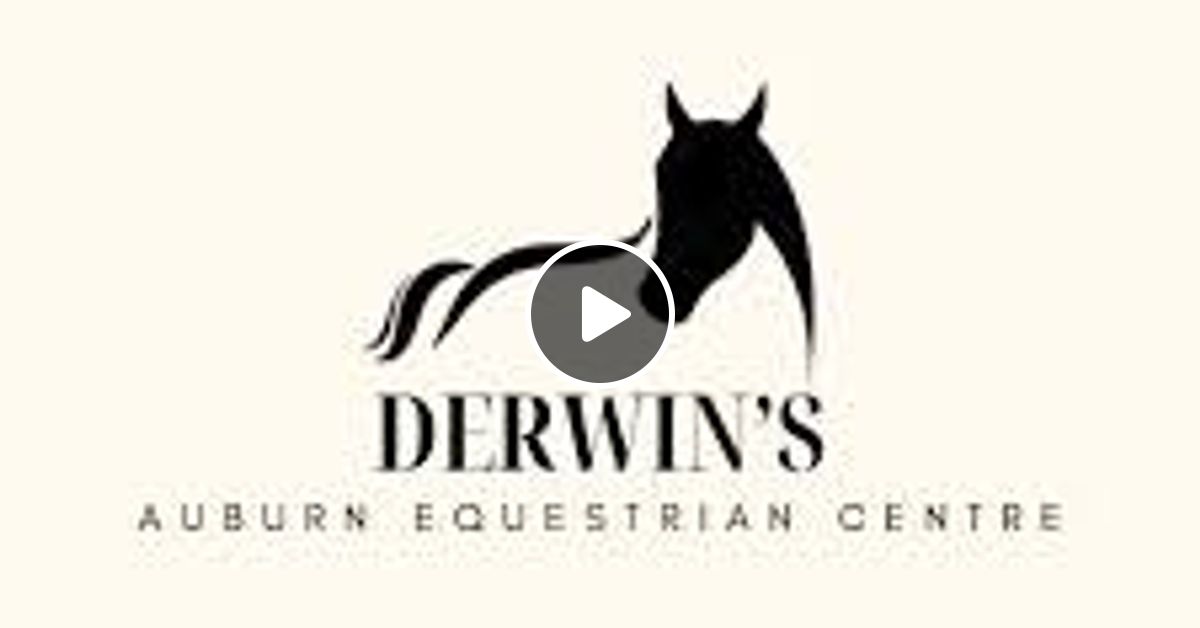 Athlone Today Ann Derwin Derwin’s Auburn Equestrian Centre by
