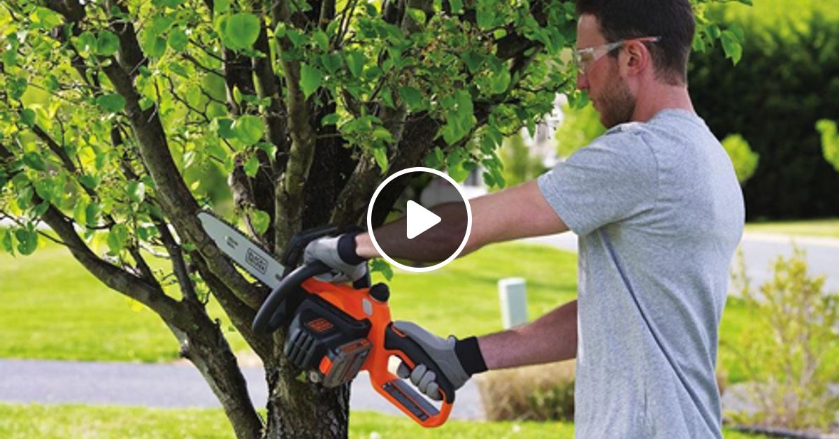 Used chainsaw. Black & Decker клещ. How to Cut a Tree. Black and Decker собирать листья. Пауэр в лесу человек бензопила.