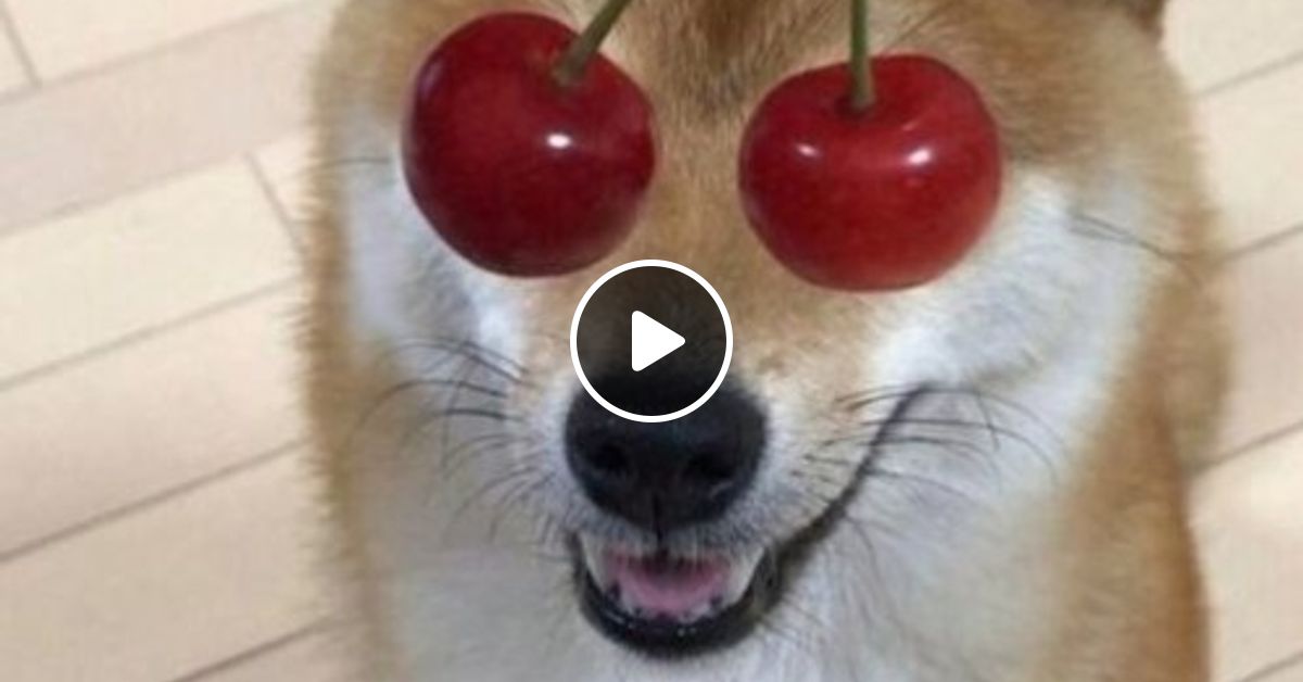 World Music Vol 2 By Tobi Carl Dr Love Discobucht Mixcloud